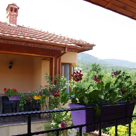 Complex Diana Pensjonat