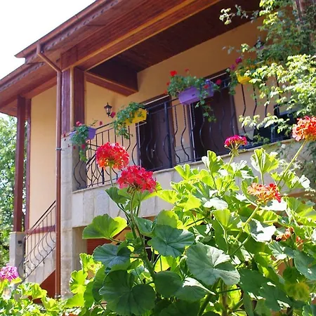 Pensjonat Complex Diana